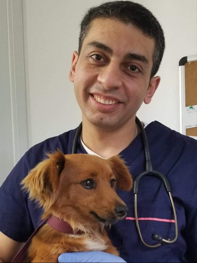 Doctor Image